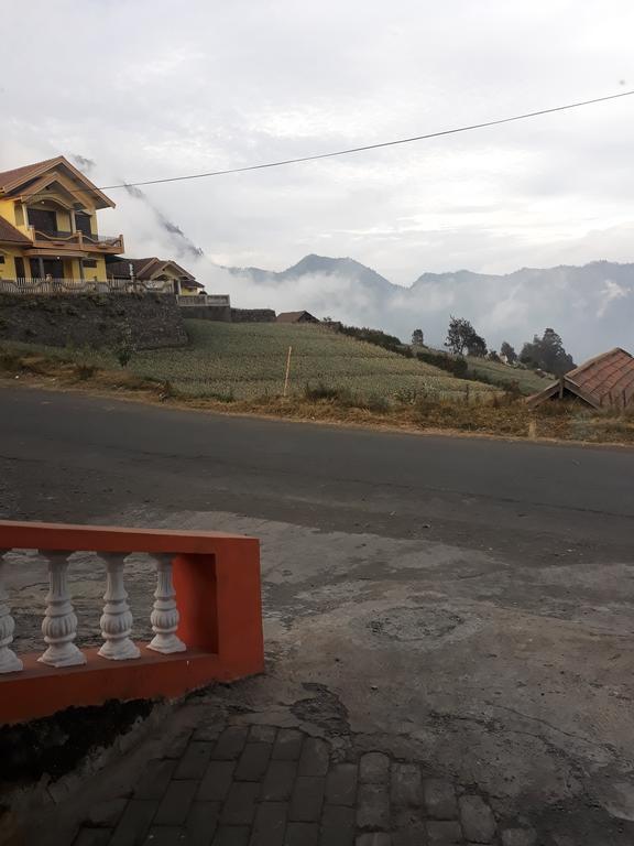 Sedulur Homestay Bromo Kültér fotó