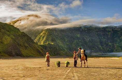 Sedulur Homestay Bromo Kültér fotó
