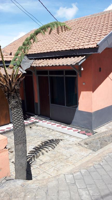 Sedulur Homestay Bromo Kültér fotó